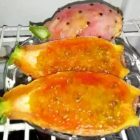 میوه استوایی کاکتوس  مالتا