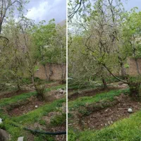 فروش باغ