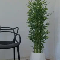 بامبو مصنوعی ایکیا