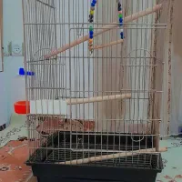 قفص بزرگ کاسکویی