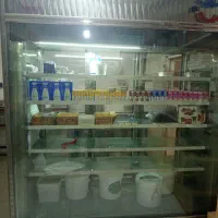 یخچال شیش در بینالود شرق