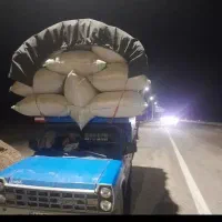 کاه گندم دیم درجه یک امسال