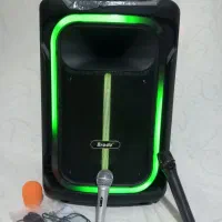 اسپیکر بزرگ بلوتوثی چرخ دار وردسته دار15اینچ برودو|سیستم صوتی خانگی|کلاله, |دیوار