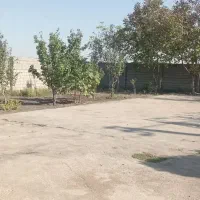 باغ ویلا بصورت اجاره روزانه