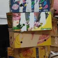 ۱۰ عدد کارتن موز