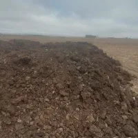 پهن خشک ۶ چرخ ۵۵۰۰ هزار تومان|خدمات باغبانی و درختکاری|اردبیل, |دیوار