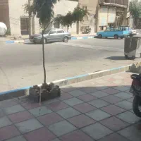 فرون آباد مغازه تجاری بر اصلی فروش فوری|فروش مغازه و غرفه|پاکدشت, خاتون آباد|دیوار