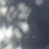 صفحه کابینت|مصالح و تجهیزات ساختمان|گنبد کاووس, |دیوار