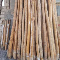 خریدار چوب سقفی|خدمات باغبانی و درختکاری|نجف‌آباد, صالح آباد|دیوار