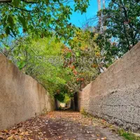 اجاره کوتاه مدت باغ ویلا مهریز|اجارهٔ کوتاهمدت ویلا و باغ|یزد, |دیوار
