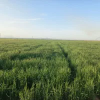 نیازمند نیروی کار