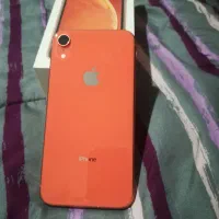 اپل iPhone XR با حافظهٔ ۶۴ گیگابایت|موبایل|مشهد, شاهد (شهرک غرب)|دیوار