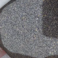 بذر کشاورزی