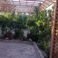 بهشتی-رویائی