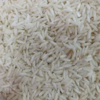 فروش برنج هاشمی از کشاورز