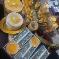 آرکوپال ۴۶پارچه اصل لومینارک فرانسه وکیوم