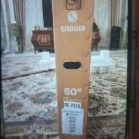 کارتن تلویزیون اسنوا|تلویزیون و پروژکتور|پیشوا, |دیوار