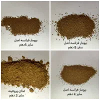 غذای ماهی آرتمیا کاتاپا موز استارتر دکپسوله دافنی|ماهی|مشهد, دانشجو|دیوار
