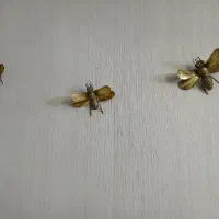 سه عدد سنجاقک برنج|مجسمه، تندیس، ماکت|شهریار, کهنز|دیوار