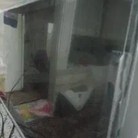 تلویزیون tcl43.  تی.سی.ال