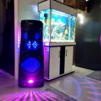 امور نظافت و آشپزی