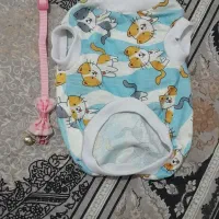 وسایل گربه