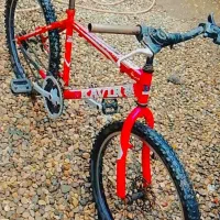 دوچرخه|دوچرخه، اسکیت، اسکوتر|گنبد کاووس, |دیوار