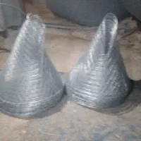 گرگور و دماغه