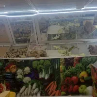 دکور میوه فروشی|فروشگاه و مغازه|سیدان, |دیوار