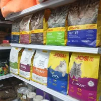 انواع غذا خشک و تر گربه و سگ