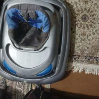 روروعک سالم