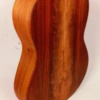 گیتار|گیتار، بیس، امپلیفایر|اصفهان, نقش جهان|دیوار