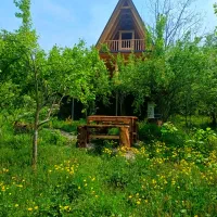 اجاره روزانه کلبه سوئیسی و سنتی