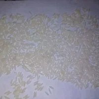 برنج طارم هاشمی اصل فریدونکنار عمده و خرده|خوردنی و آشامیدنی|بابلسر, |دیوار