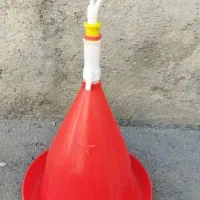 ابخوری مرغ