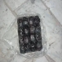 فروش فوری خرما سه ردیف کیلویی 170نقد|خوردنی و آشامیدنی|مهرستان, |دیوار