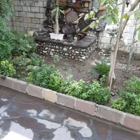 آپارتمان ۵۵ متری|اجارهٔ آپارتمان|تهران, شهرک مخابرات|دیوار