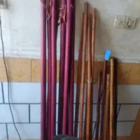 قوچ عراقی|حیوانات مزرعه|اهواز, کوی باهنر|دیوار