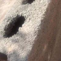 استا بلوک زن هستم
