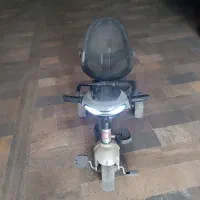 ۳ چرخه فلامینگو سایبان دار