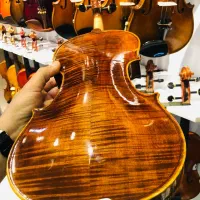 دستساز چین|ویولن|شیراز, شهرک گلستان|دیوار