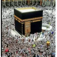 فروش فیش تمتع