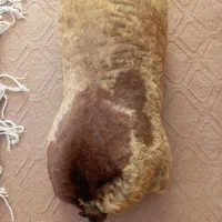 خیگ جا روغن|ظروف نگهدارنده، پلاستیکی، یک‌بارمصرف|شوشتر, |دیوار