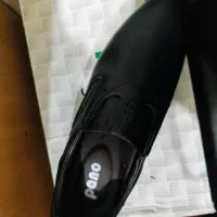 تعدادی کالا نو|کیف، کفش، کمربند|بندر کنگان, |دیوار