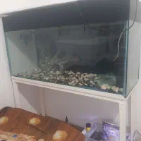 آکواریوم ۱۲۰