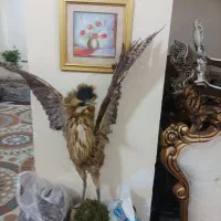 مجسمه|مجسمه، تندیس، ماکت|آبادان, |دیوار