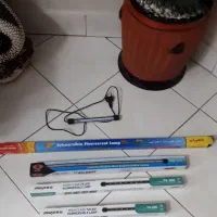 *حراج* بهترین و ارزانترین وسایل اکواریم|ماهی|ری, شهید بهشتی|دیوار