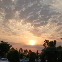 تراکت پخش کن خانم و آقا