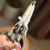 شمع اسب|مجسمه، تندیس، ماکت|رشت, حمیدیان|دیوار