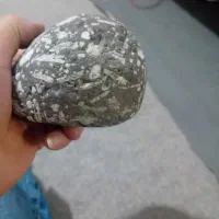 یک عددشهاب سنگ ما ویک عددشهابسنگ کربنادو